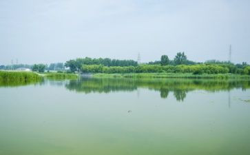 环境与生态调研报告5篇