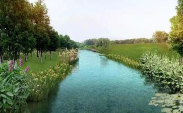 桂城环境调查报告范文优秀5篇