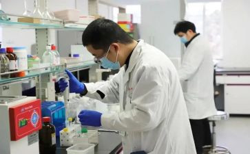 2024化验室工作总结优质8篇