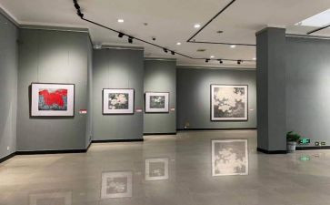 党庆画展观后感参考6篇