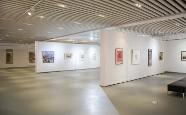 党庆画展观后感8篇