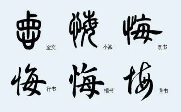 观看贪与悔心得体会通用6篇