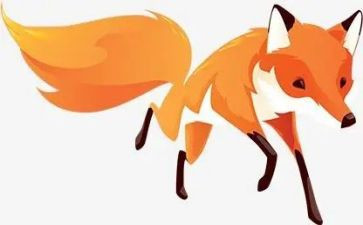 狐狸和猫的读后感优质5篇