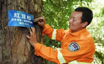 护林员年度总结推荐7篇