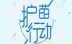 2023年护苗行动观后感500字8篇