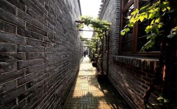 写北京胡同的作文8篇