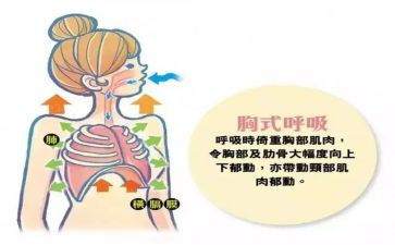 呼吸科护士述职报告6篇