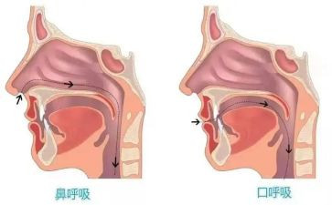 护士呼吸科心得体会6篇