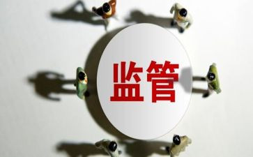 监督组工作总结模板7篇
