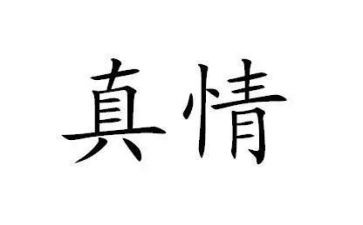 真情作文600字5篇
