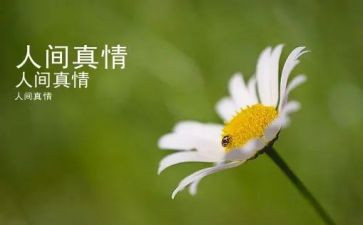 关于流露真情的作文8篇