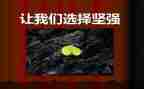 坚强作文700字5篇