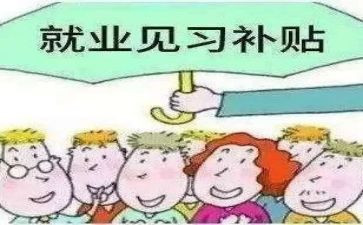 见习心得体会8篇
