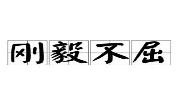 坚毅的读后感7篇