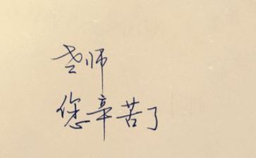 教师年度工作个人总结最新6篇