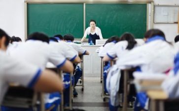新教师的心得体会模板7篇