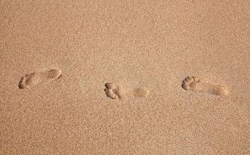 幼儿园脚印教案7篇