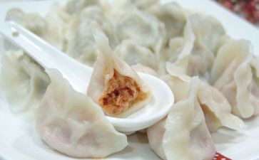 幼儿园画饺子教案5篇