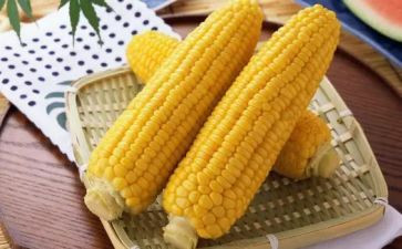 有关于玉米的作文6篇