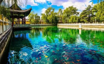 济南的桥与亭读后感优质6篇