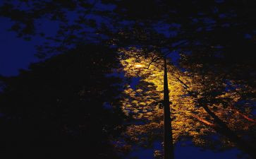 关于静作文800字最新5篇