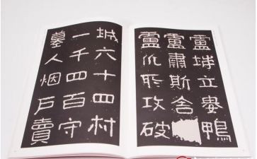 小学教师晋高级述职报告优质5篇
