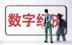 搞经济的活动方案7篇