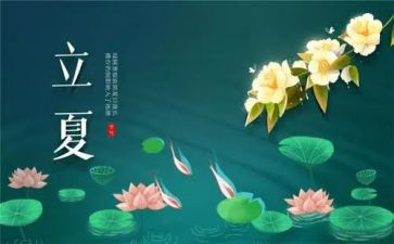 节气的作文精选8篇