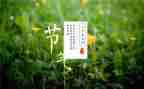 节气的作文7篇