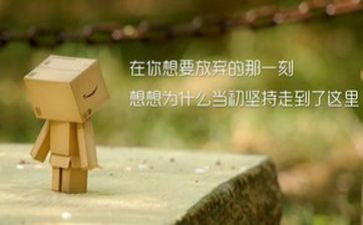 狼的团队精神心得体会模板5篇