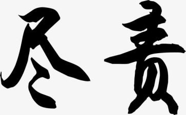 履职尽责个人总结参考8篇