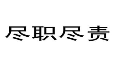履职尽责个人总结模板6篇