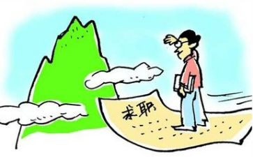2024就业调查报告精选5篇