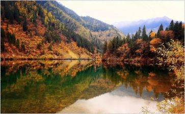 九寨沟的作文最新6篇