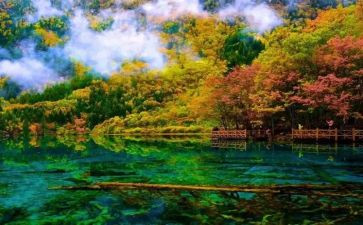 九寨沟的作文模板5篇