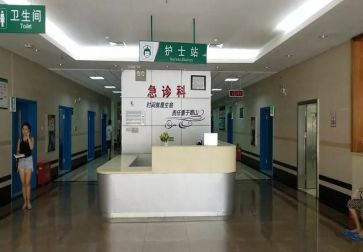 2024急诊科护士年度个人总结7篇