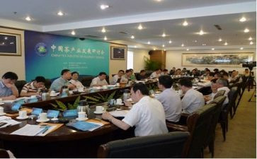 局长令心得体会5篇