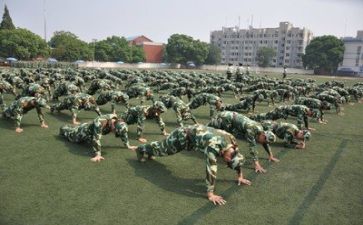 军训活动总结优质8篇