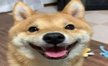 我开心了作文优质7篇