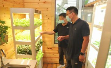 调研报告与考察报告8篇