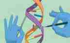 科学年级组工作计划通用5篇