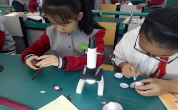 幼儿园小班科学课教案优秀6篇