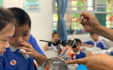 科学课工作总结精选8篇