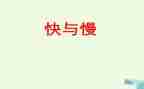 快与慢思想汇报6篇