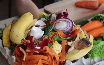 垃圾处理与分类的调查报告5篇