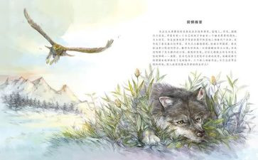 沈石溪狼王梦读后感500字6篇