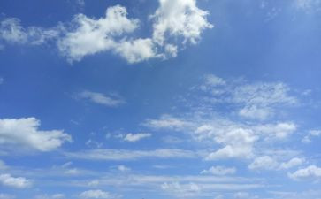 飞上蓝天作文推荐7篇