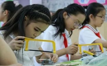 劳技教学总结8篇