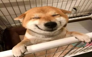 幼儿园音乐课教案模板精选6篇