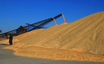 小班健康运粮食教案5篇